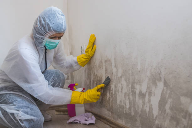 Best Water Damage Restoration  in Chisholm, ME