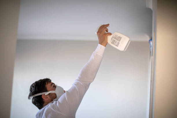 Best Mold Testing  in Chisholm, ME