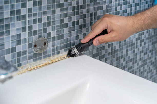 Best Local Mold Removal Service  in Chisholm, ME